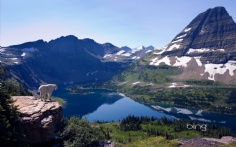 BearhatMtn1920x12003-22-2011 5_55_50 PM Bing Desktop